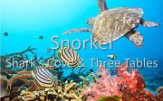snorkel